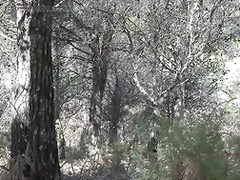 Muslim woman public fucking in national park in USA