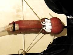 Electro Torture with Balls Clamped Up
